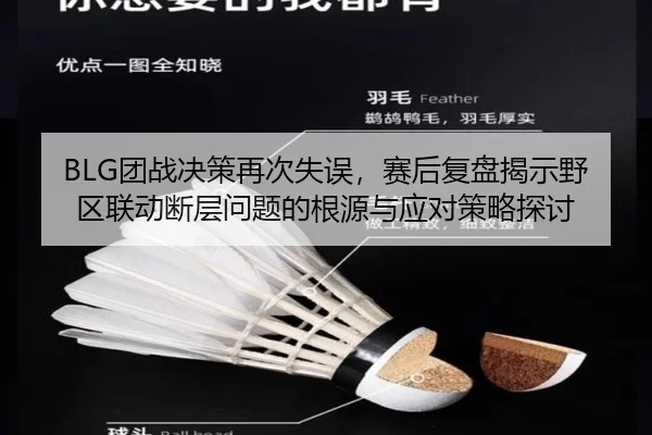 BLG团战决策再次失误，赛后复盘揭示野区联动断层问题的根源与应对策略探讨